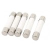 20amp    6X30MM